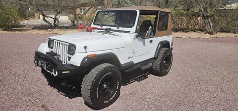 Jeep Wrangler 1991 1991 occasion Lyon 69002