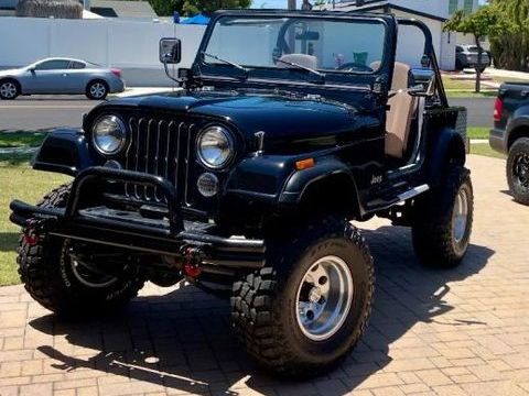 Jeep Divers 1985 1985 occasion Lyon 69002