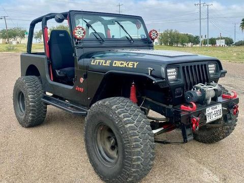 Jeep Wrangler 1993 1993 occasion Lyon 69002