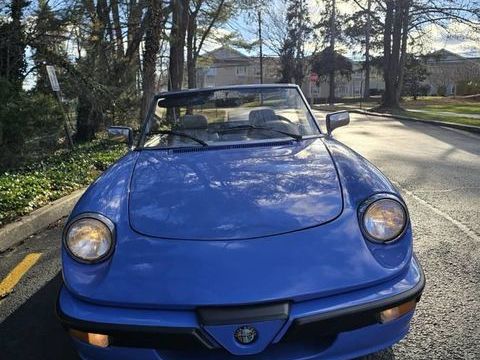 Alfa Romeo Spider 1987 1987 occasion Lyon 69002