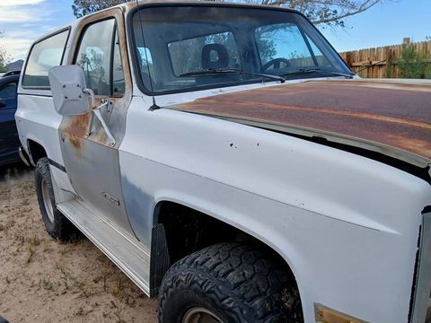 Chevrolet Blazer 1991 1991 occasion Lyon 69002