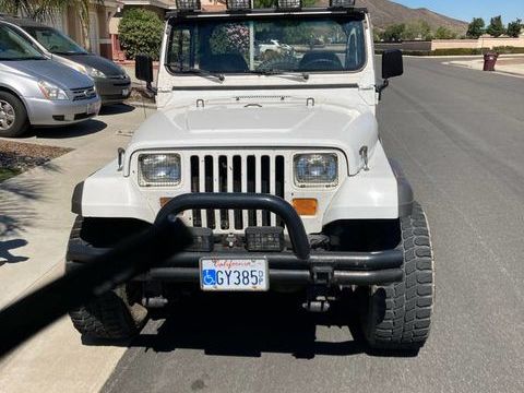 Jeep Wrangler 1989 1989 occasion Lyon 69002