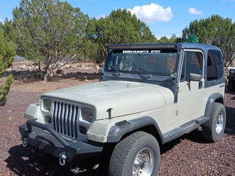 Jeep Wrangler 1988 1988 occasion Lyon 69002