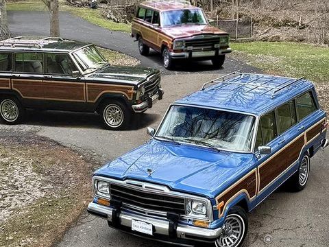 Jeep Divers 1988 1988 occasion Lyon 69002