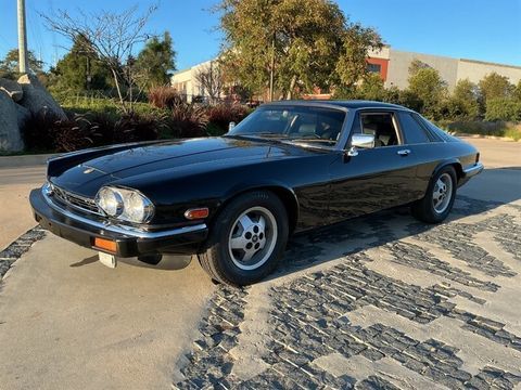 Jaguar XJS 1986 1986 occasion Lyon 69002
