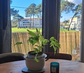  Appartement  vendre 3 pices 68 m
