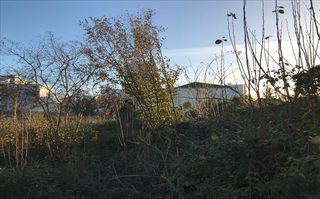  Terrain  vendre 1185 m