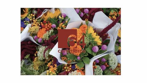 FONDS DE COMMERCE &agrave; VENDRE 255000 40220 Tarnos