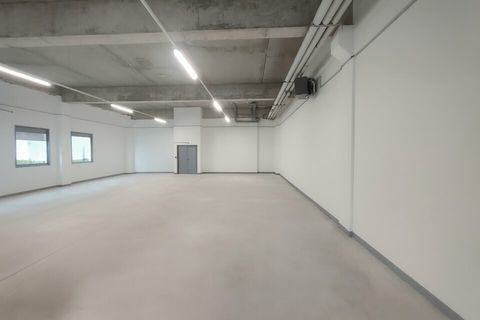 LOCAL D'ACTIVITE &agrave; VENDRE 295550 38070 Saint quentin fallavier