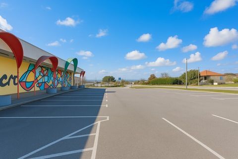 LOCAL COMMERCIAL 1500 M&sup2; &agrave; VENDRE 950000 38300 Bourgoin jallieu