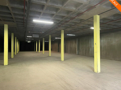 ACTIVITE - ENTREPOTS à LOUER 2400 78820 Juziers