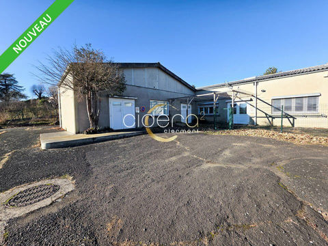 LOCAL D'ACTIVITE &agrave; VENDRE 300000 63500 Issoire