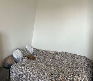  Appartement � louer 1 pi�ce 23 m�