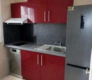  Appartement � louer 2 pi�ces 55 m�