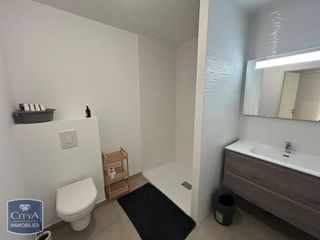  Appartement � louer 1 pi�ce 55 m�