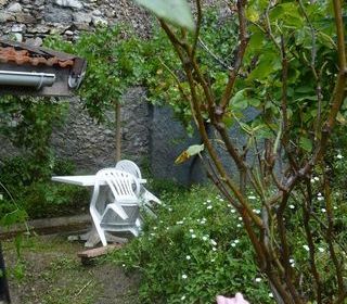  Appartement � louer 1 pi�ce 26 m�