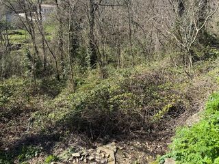  Terrain � vendre 3199 m�