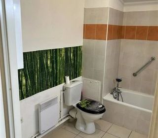  Appartement � louer 2 pi�ces 45 m�