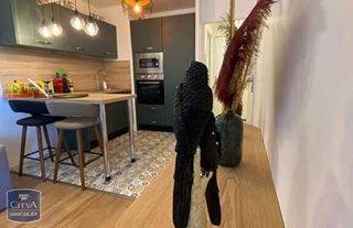  Appartement � louer 2 pi�ces 31 m�