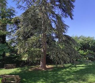  Appartement � louer 3 pi�ces 68 m�