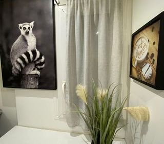  Appartement � louer 1 pi�ce 12 m�