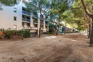  Appartement � vendre 1 pi�ce 20 m�