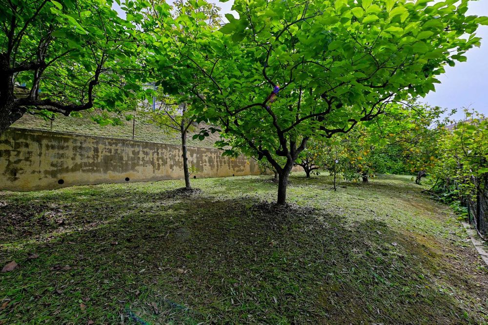 � vendre  Villa Nice (06200)