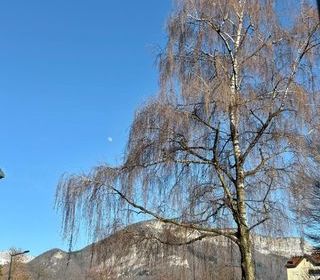  Appartement � vendre 2 pi�ces 49 m�