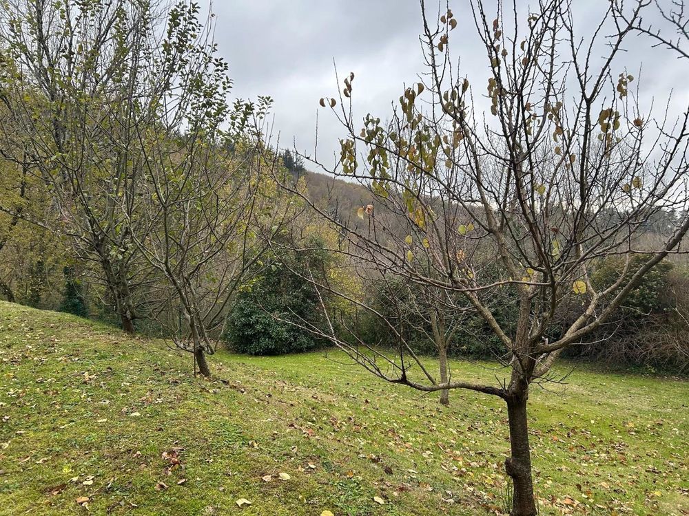 � vendre  Maison Revel (31250)