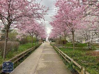  Appartement � vendre 1 pi�ce 36 m�