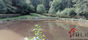 Vente Terrain  Vosges Epinal étang 710 m2 Epinal
