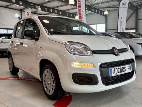 Fiat Panda 1.0 70 ch BSG S/S Hybrid City 2025 occasion Gerzat 63360
