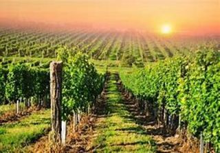  Appartement � vendre 3 pi�ces 27 m�