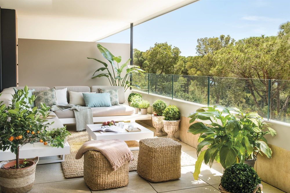   Bormes-les-Mimosas (83230)