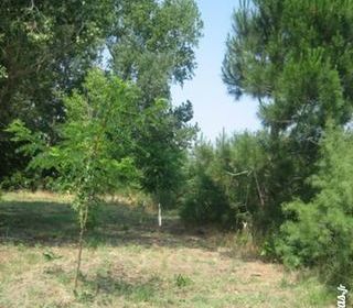  Terrain � vendre 800 m�