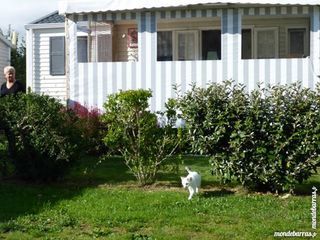 Location  Mobile Home 