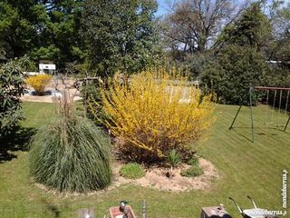 Location  Maison - Villa 