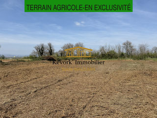  Terrain � vendre 6590 m�