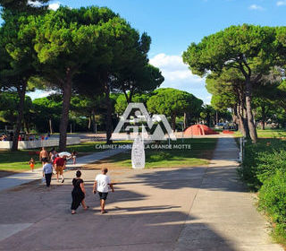  Appartement � vendre 1 pi�ce 17 m�