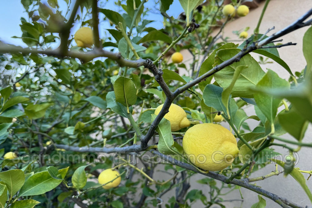 � vendre  Maison La Garde-Freinet (83680)