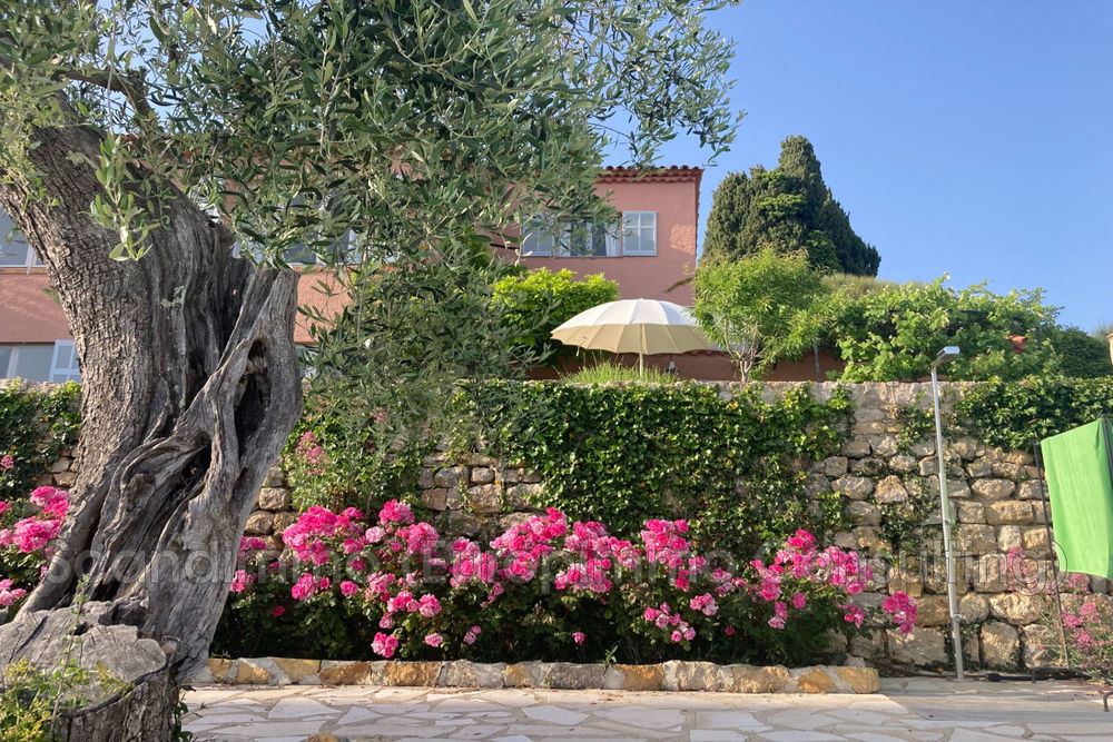 � vendre  Maison Cabris (06530)