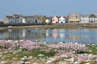  Maison � vendre 3 pi�ces 43 m�