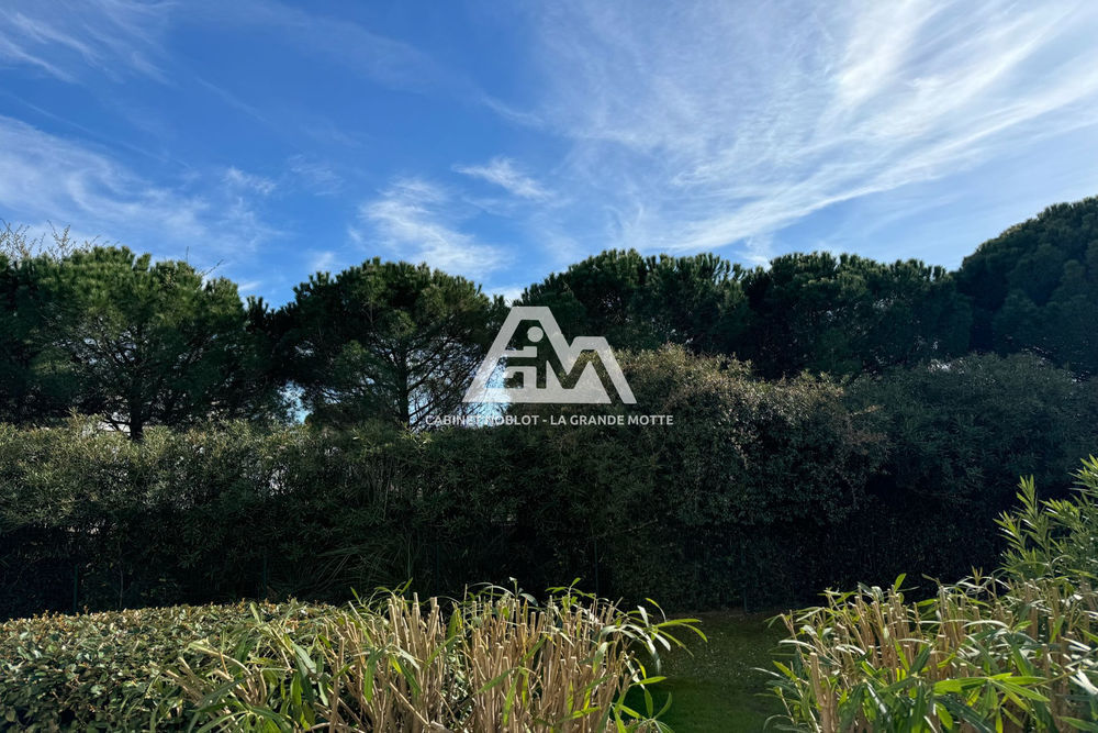 � vendre  Appartement La Grande-Motte (34280)