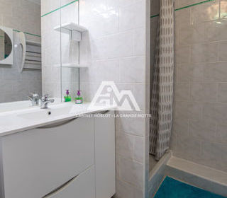  Appartement � vendre 26 m�