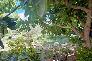  Terrain � vendre 320 m�