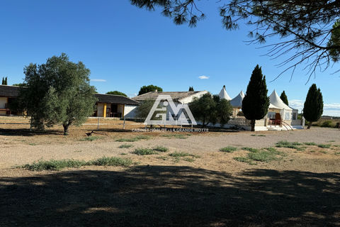 professionnel murs local professionnel 558000 30220 Saint-laurent-d'aigouze