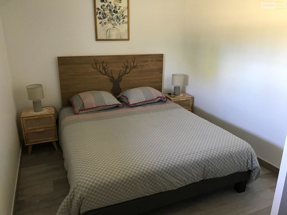 � vendre  Propri�t�/ch�teau Ath�e-sur-Cher (37270)