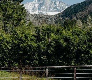  Maison � vendre 7 pi�ces 310 m�