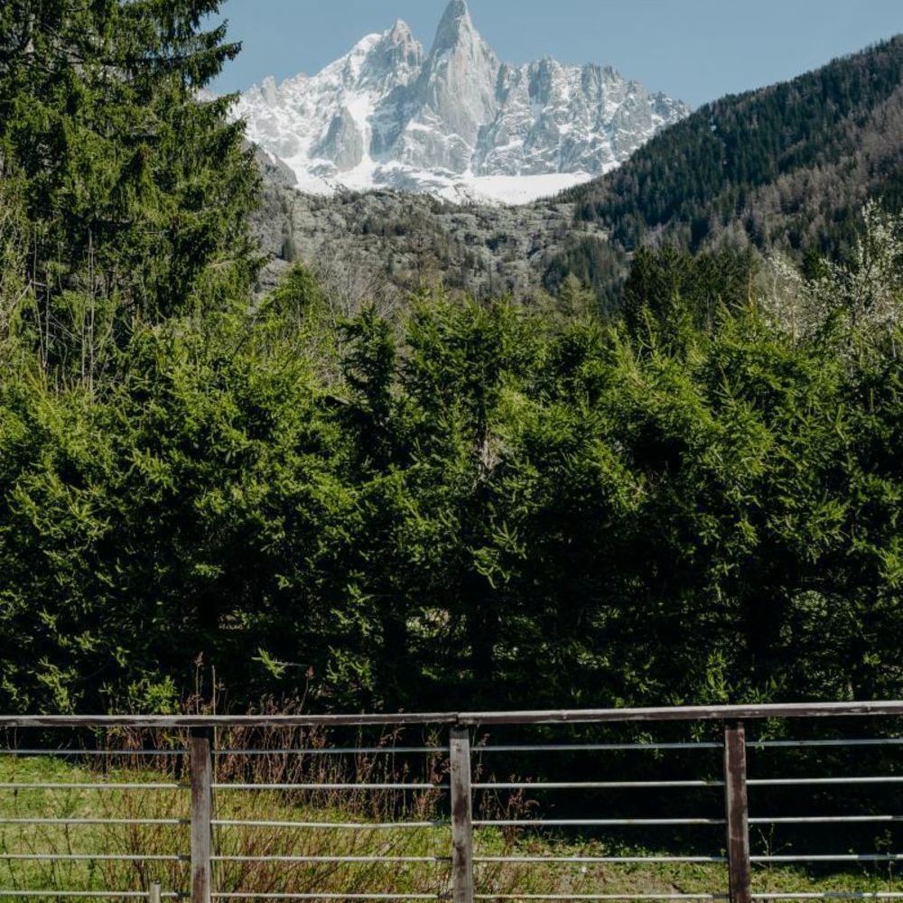 � vendre  Maison Chamonix-Mont-Blanc (74400)