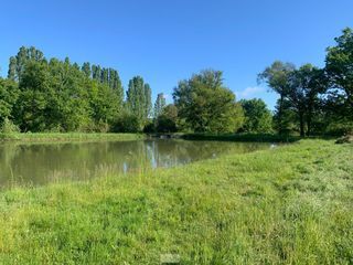  Terrain � vendre 15196 m�